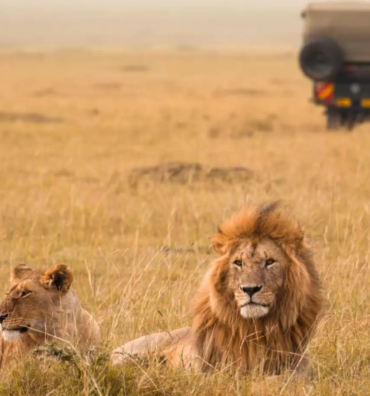 Sustainable Tourism Collaboration in Maasai Mara National Reserve