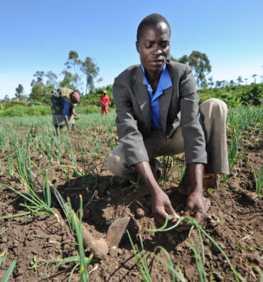 Agricultural Development Initiative in Machakos County