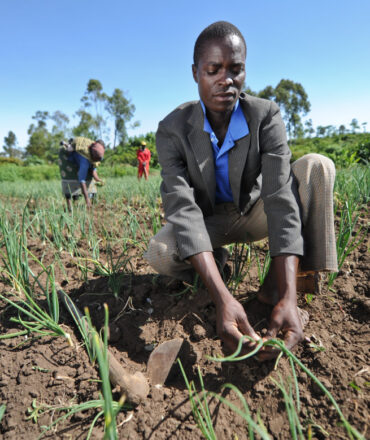 Agricultural Development Initiative in Machakos County